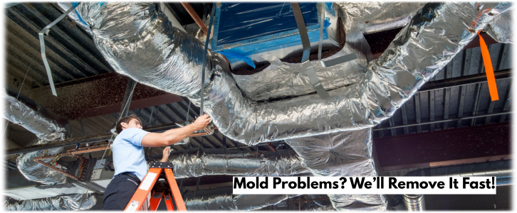 Air Duct Mold Removal in Cypress TX